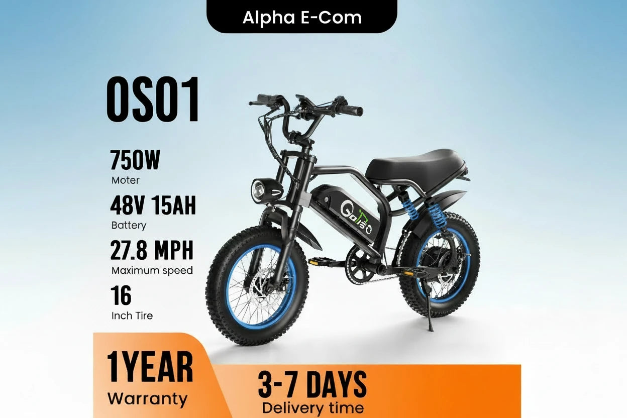 750W Electric Bike for Adults & Teens 48V Battery