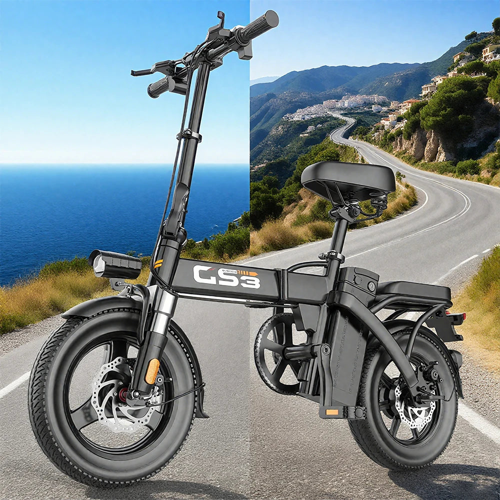 TOOFLY 250W Folding Electric City Bike EU Warehouse
