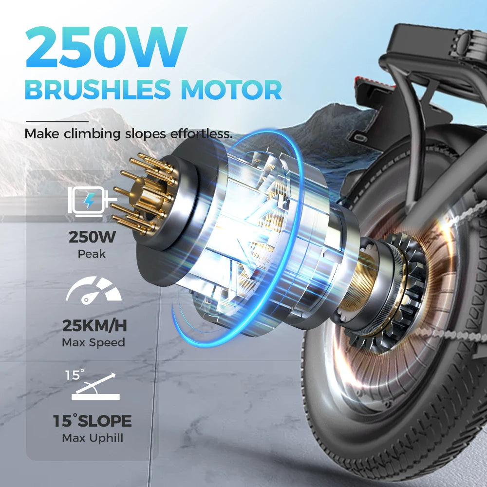 TOOFLY Folding Electric City Bike 250W – EU Warehouse E-Bike